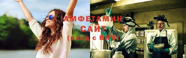 ГАЛЛЮЦИНОГЕННЫЕ ГРИБЫ Гусев