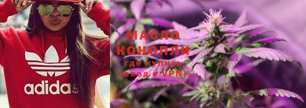 ГАЛЛЮЦИНОГЕННЫЕ ГРИБЫ Гусев
