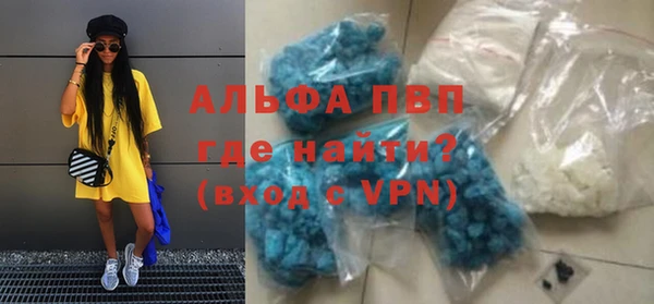ГАЛЛЮЦИНОГЕННЫЕ ГРИБЫ Гусев