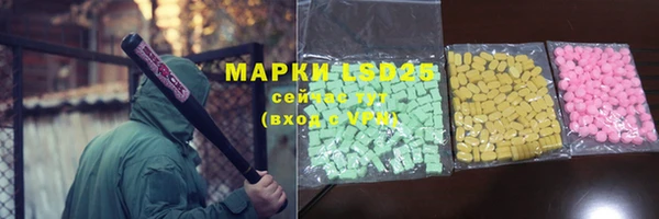 ГАЛЛЮЦИНОГЕННЫЕ ГРИБЫ Гусев