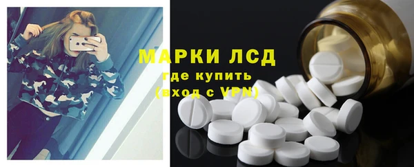 ГАЛЛЮЦИНОГЕННЫЕ ГРИБЫ Гусев