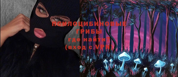 мдма Гусиноозёрск
