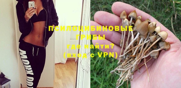 ГАЛЛЮЦИНОГЕННЫЕ ГРИБЫ Гусев