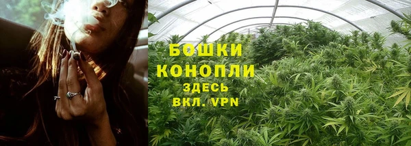 ГАЛЛЮЦИНОГЕННЫЕ ГРИБЫ Гусев