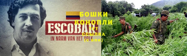ГАЛЛЮЦИНОГЕННЫЕ ГРИБЫ Гусев