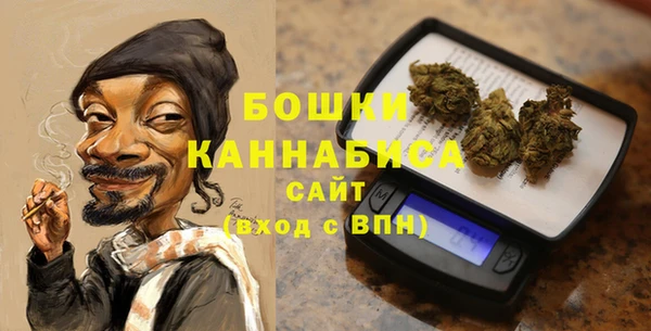 ГАЛЛЮЦИНОГЕННЫЕ ГРИБЫ Гусев