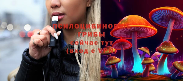 ГАЛЛЮЦИНОГЕННЫЕ ГРИБЫ Гусев