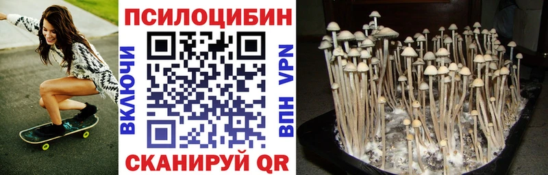 Галлюциногенные грибы Psilocybine cubensis  площадка как зайти  Черкесск 